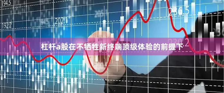 杠杆a股在不牺牲新终端顶级体验的前提下