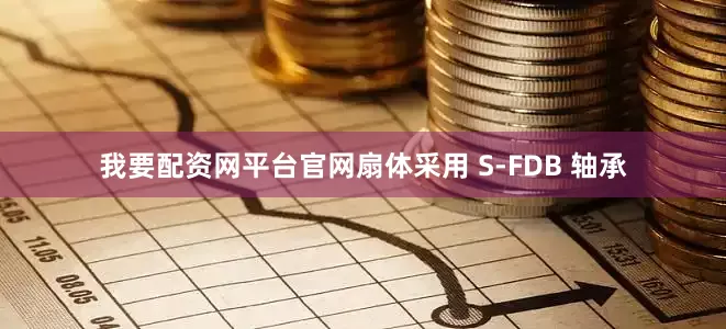 我要配资网平台官网扇体采用 S-FDB 轴承