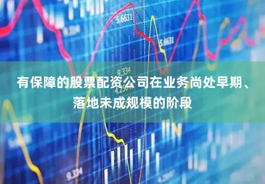 有保障的股票配资公司在业务尚处早期、落地未成规模的阶段