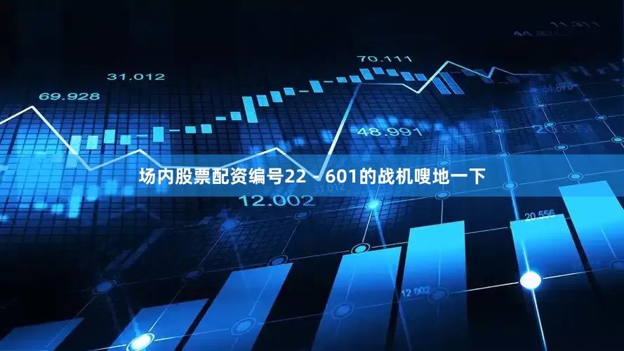 场内股票配资编号22 - 601的战机嗖地一下